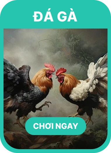 đá gà uu666