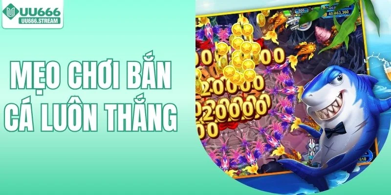 Mẹo Chơi Bắn Cá Luôn Thắng - Chiến Thuật Xả Đạn Của Cao Thủ
